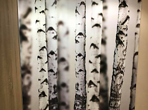 interiér 2021 - fototapeta breza vliesová, rozmer 215x235cm vzor 29201